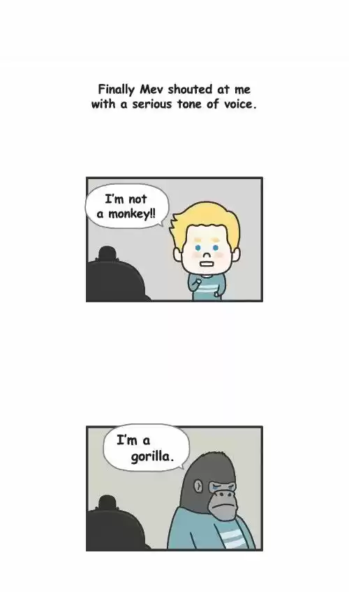 Penguin Loves Mev 291