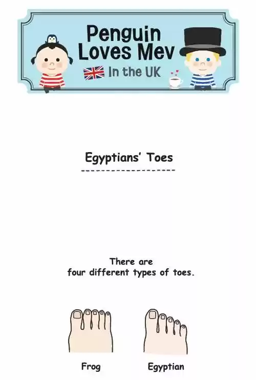 Penguin Loves Mev 300