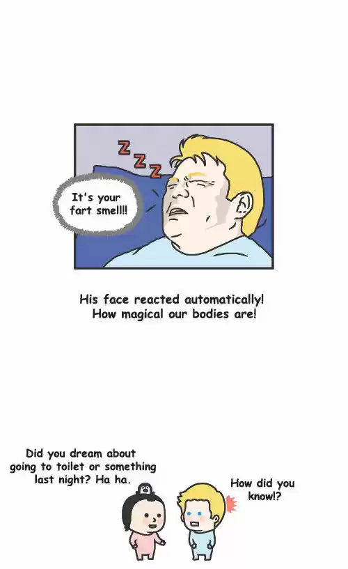 Penguin Loves Mev 55