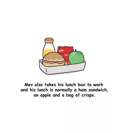 Penguin Loves Mev 65