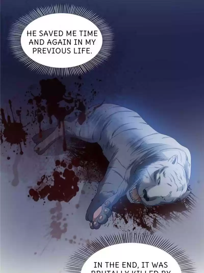 Perfect Secret Love: The Bad New Wife Is A Little Sweet Chapter 46