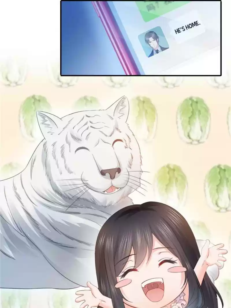 Perfect Secret Love: The Bad New Wife Is A Little Sweet Chapter 61