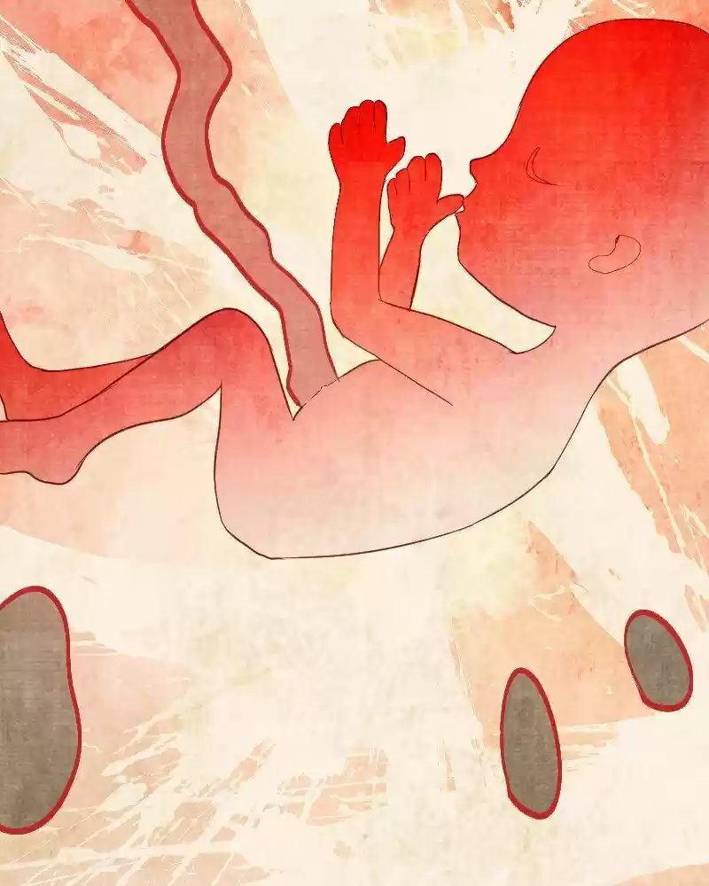 Phantom Paradise ch.094