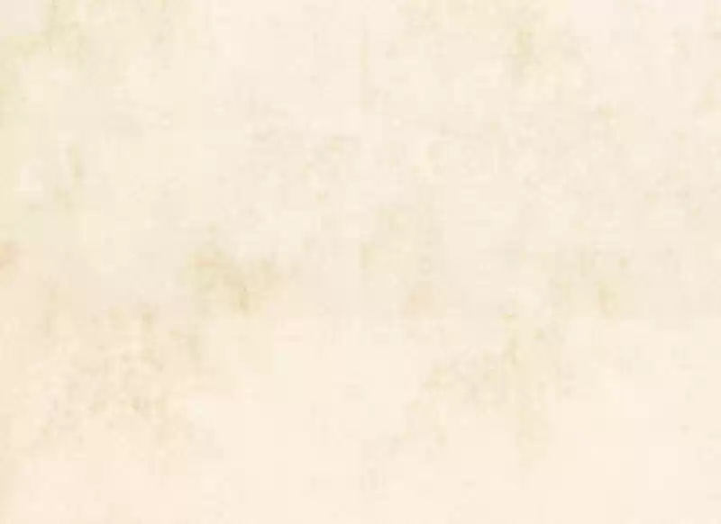 Phantom Paradise ch.101