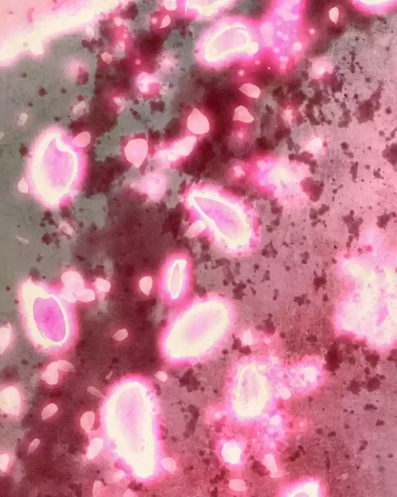 Phantom Paradise ch.110