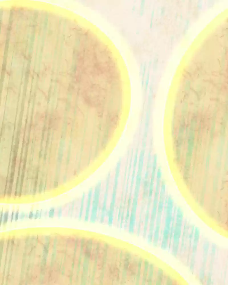 Phantom Paradise ch.113