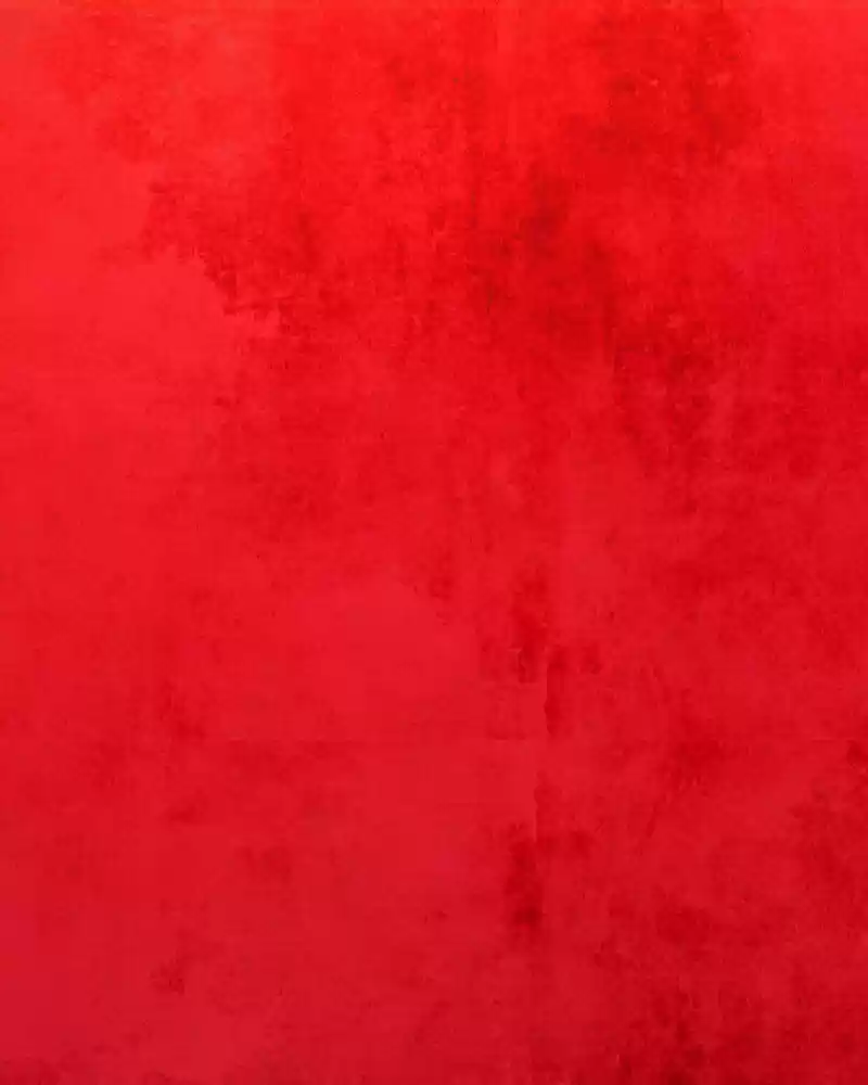 Phantom Paradise ch.125