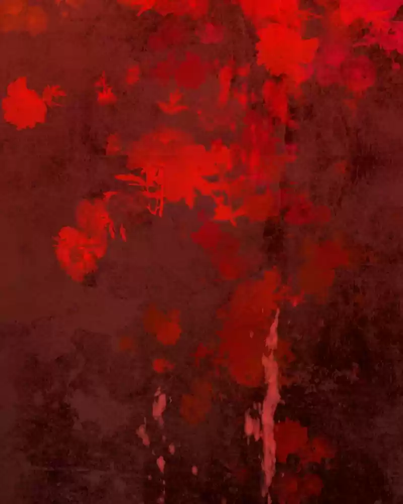 Phantom Paradise Chapter 116