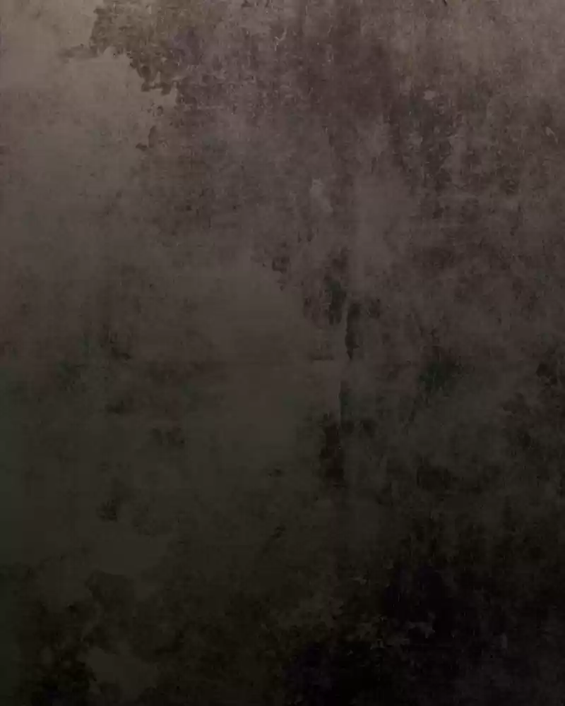 Phantom Paradise Chapter 119