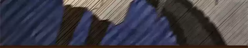 Phantom Paradise Chapter 49: