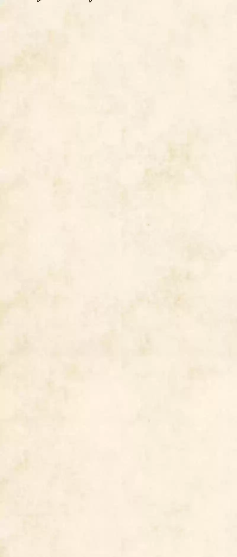 Phantom Paradise Chapter 54: