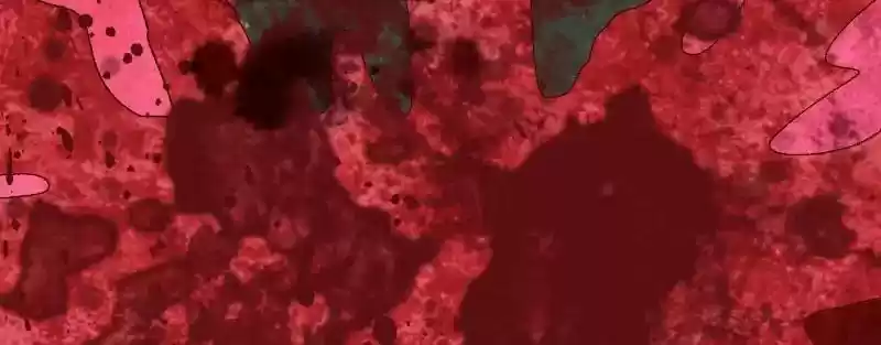 Phantom Paradise Chapter 55: