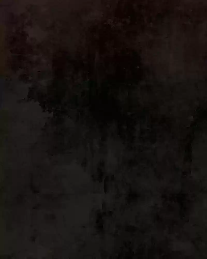 Phantom Paradise Chapter 60: