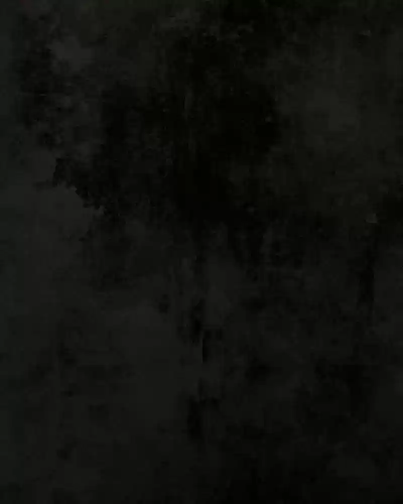 Phantom Paradise Chapter 60: