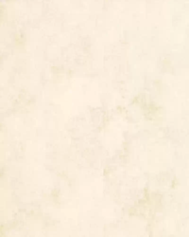 Phantom Paradise Chapter 61: