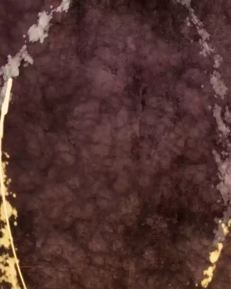 Phantom Paradise Chapter 69: