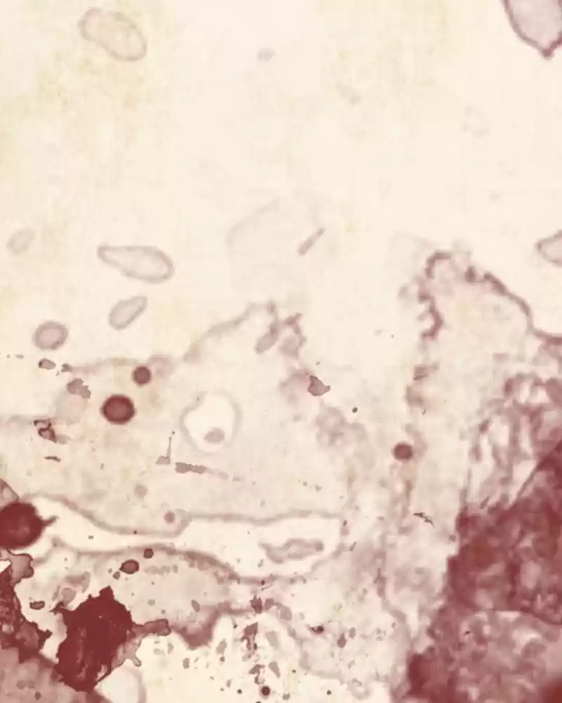 Phantom Paradise Chapter 75