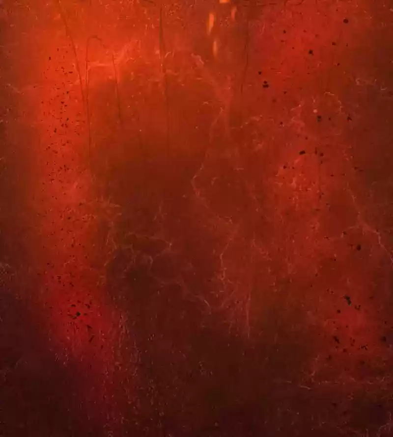 Phantom Paradise Chapter 76: