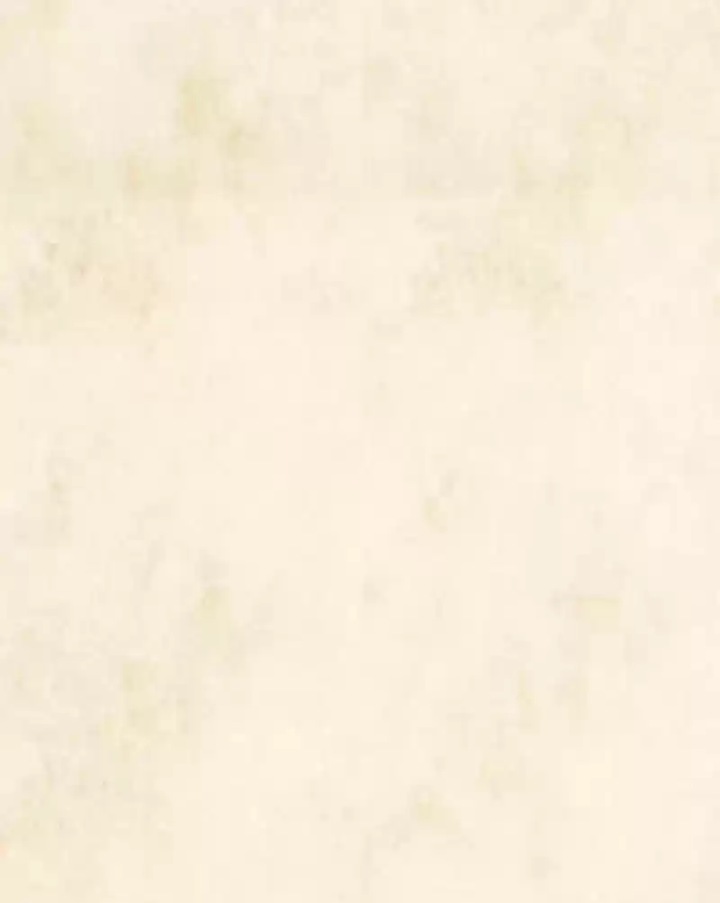 Phantom Paradise Chapter 77: