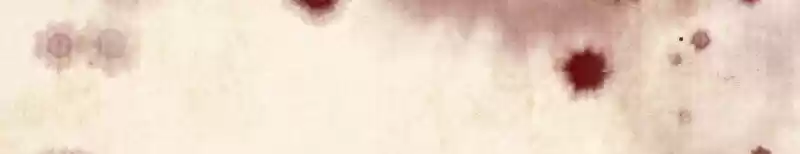 Phantom Paradise Chapter 98