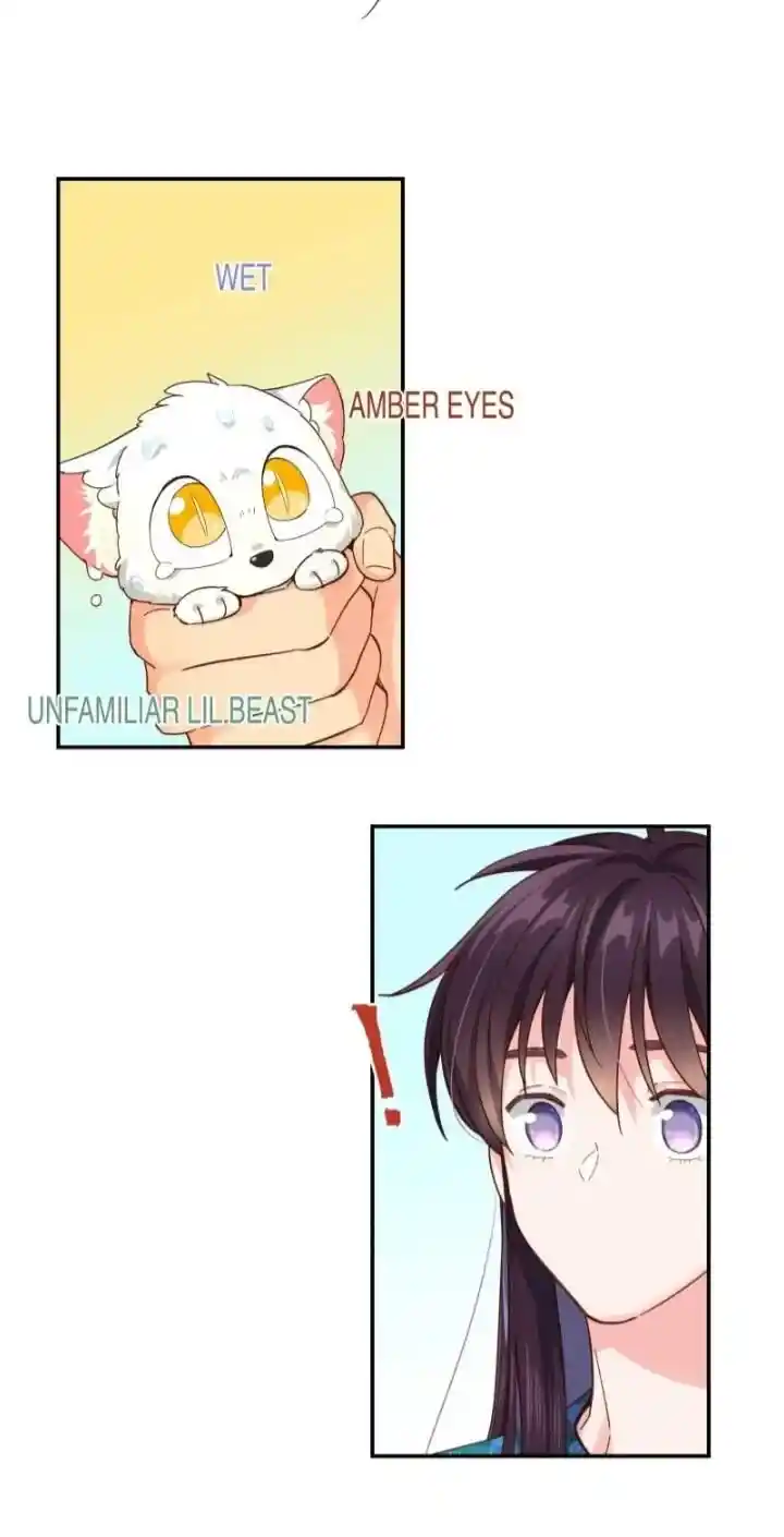 Pixiu's Eatery, No Way Out Ch.118