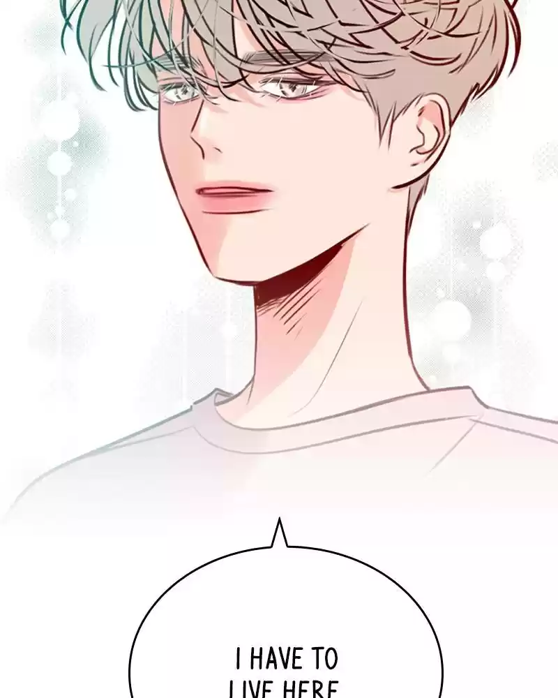 Play, Playlist Chapter 17