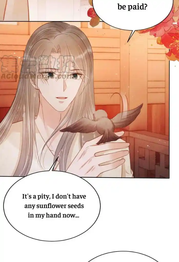 Please Love Me Gentle. Chapter 101