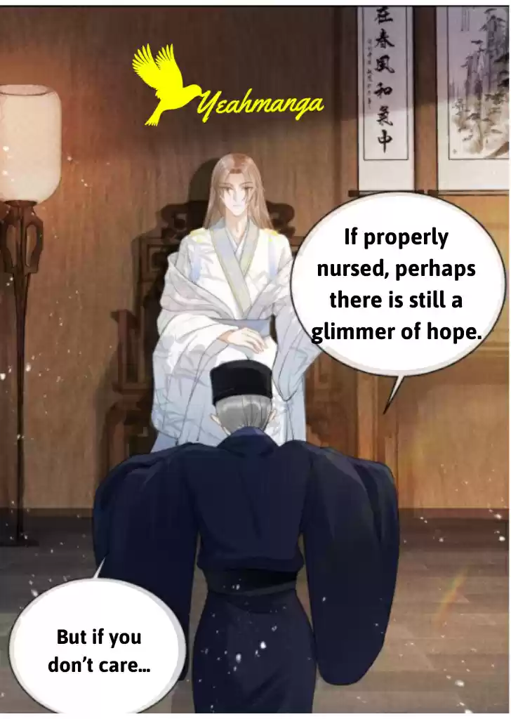 Please Love Me Gentle. Chapter 12