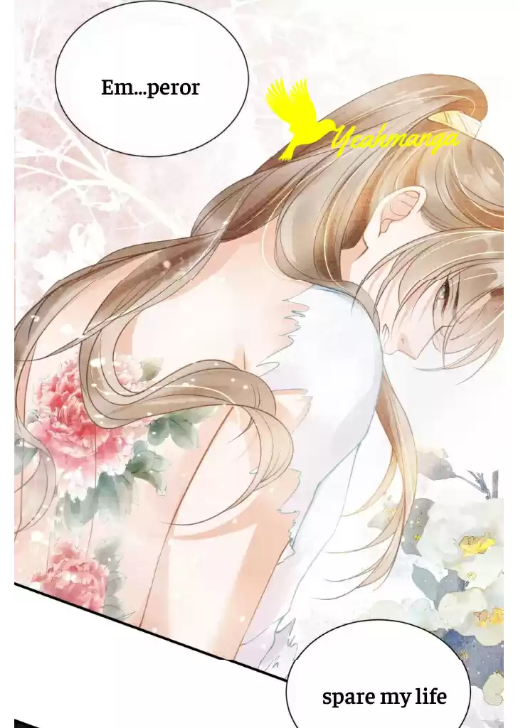 Please Love Me Gentle. Chapter 13