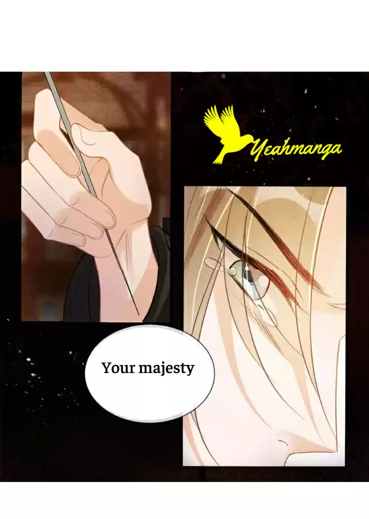 Please Love Me Gentle. Chapter 14