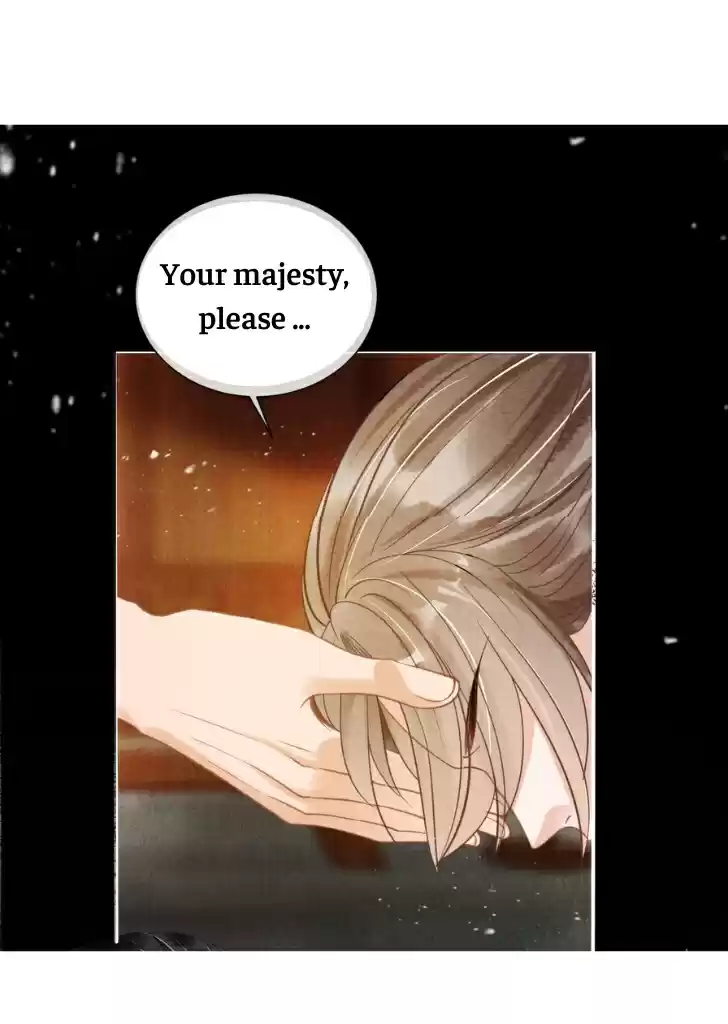 Please Love Me Gentle. Chapter 14