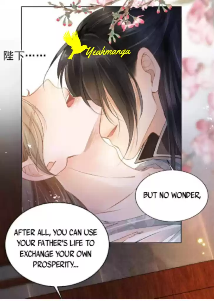 Please Love Me Gentle. Chapter 2