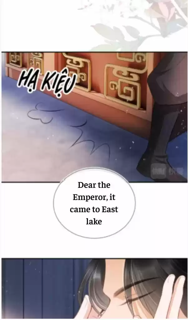 Please Love Me Gentle. Chapter 20