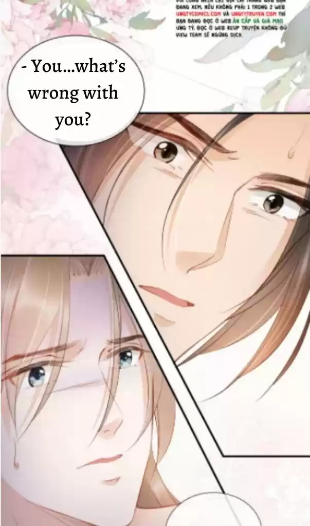 Please Love Me Gentle. Chapter 24