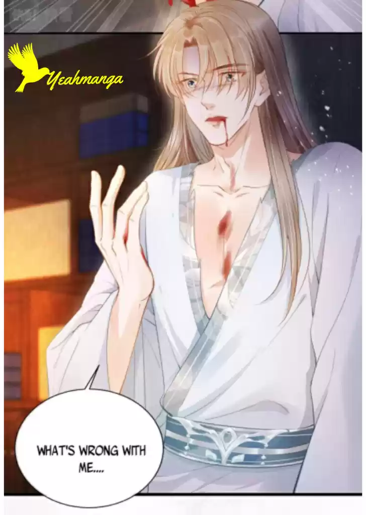 Please Love Me Gentle. Chapter 3