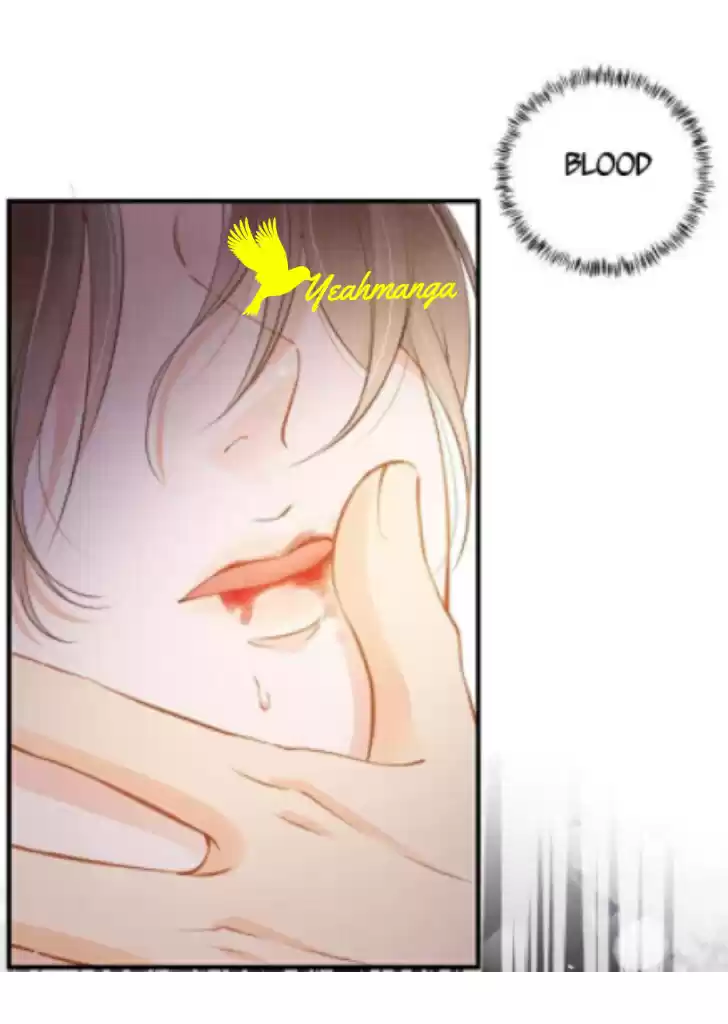 Please Love Me Gentle. Chapter 3