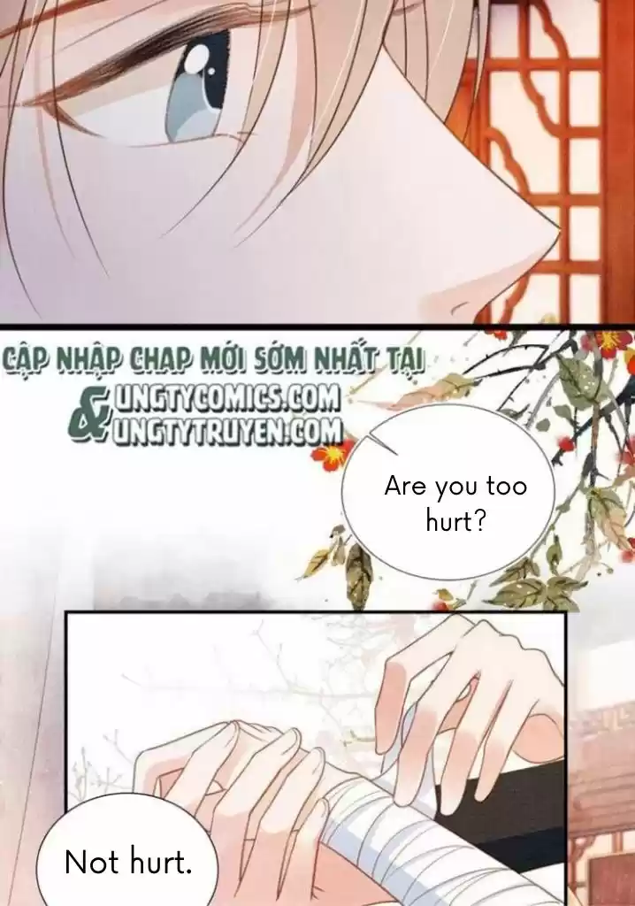 Please Love Me Gentle. Chapter 31