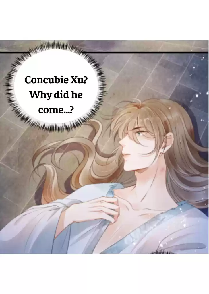 Please Love Me Gentle. Chapter 4