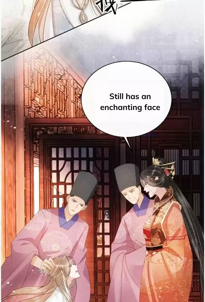 Please Love Me Gentle. Chapter 48