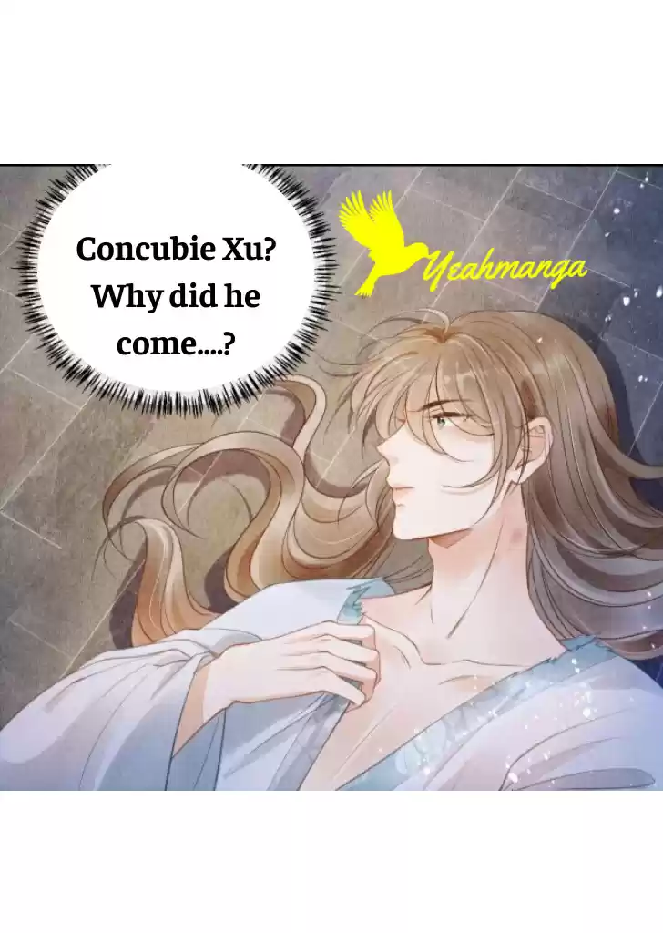 Please Love Me Gentle. Chapter 5