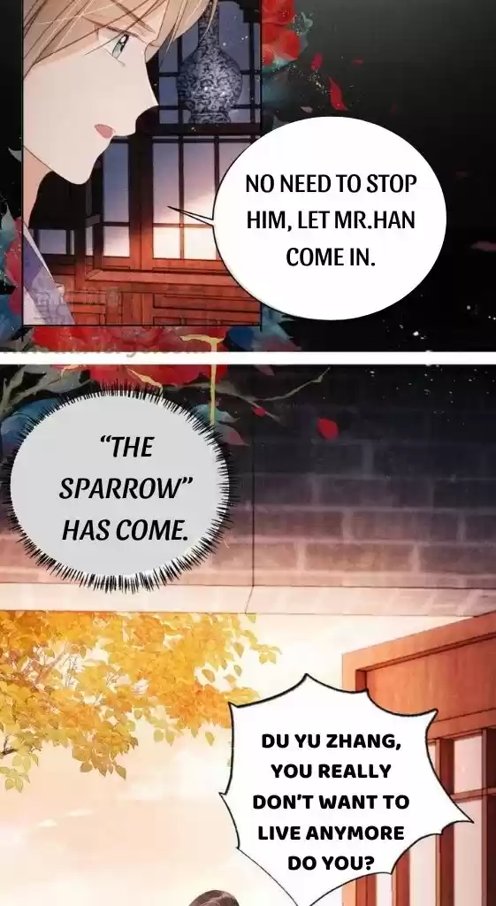 Please Love Me Gentle. Chapter 63