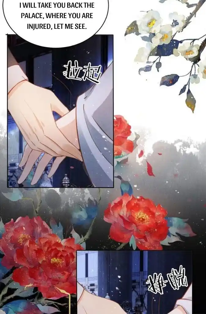 Please Love Me Gentle. Chapter 69