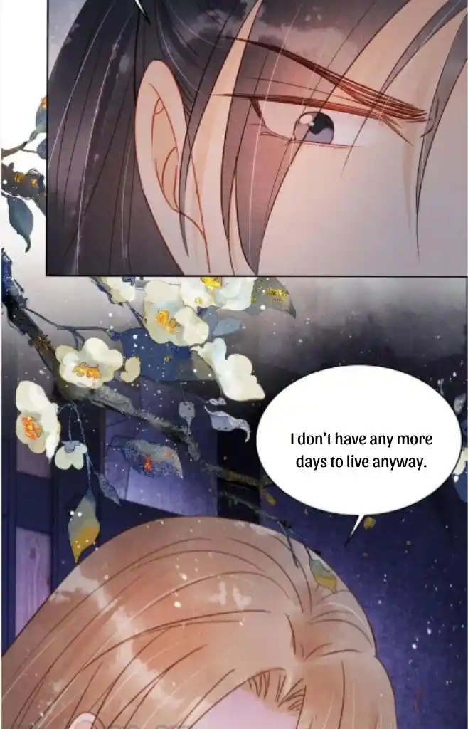 Please Love Me Gentle. Chapter 80