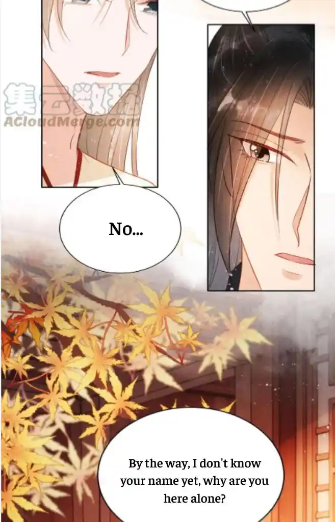 Please Love Me Gentle. Chapter 96