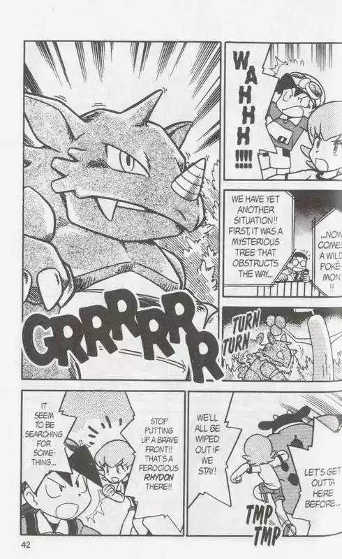 Pocket Monster Special 106