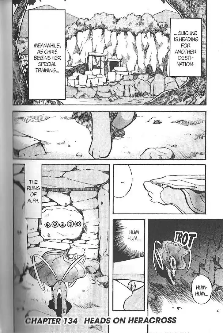 Pocket Monster Special 133