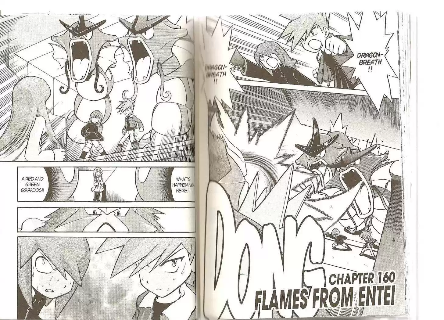 Pocket Monster Special 161