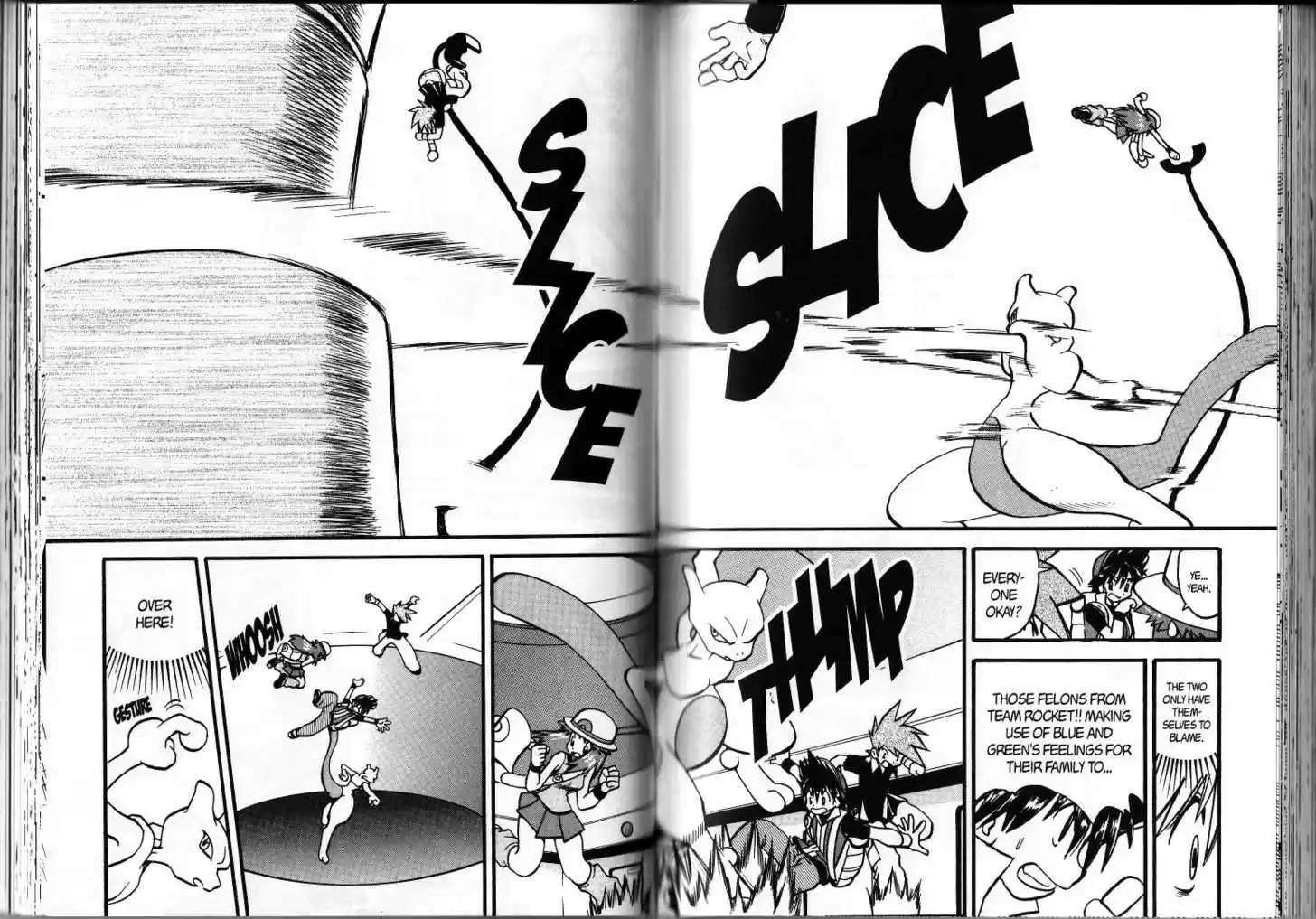 Pocket Monster Special 285