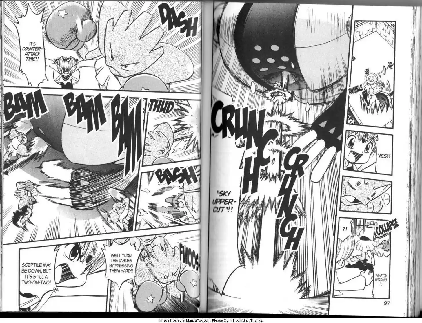 Pocket Monster Special 313