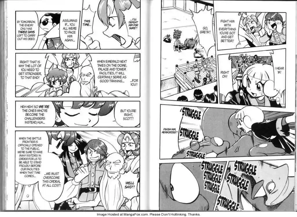 Pocket Monster Special 317